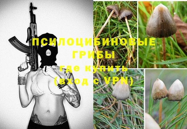 ALPHA PVP Алексеевка