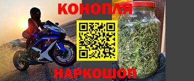 прущие грибы Ливны