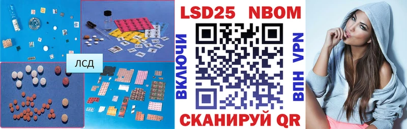 где купить наркотик  Камышин  Лсд 25 экстази ecstasy 