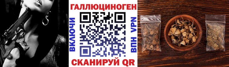 Галлюциногенные грибы GOLDEN TEACHER  где купить наркоту  Камышин 
