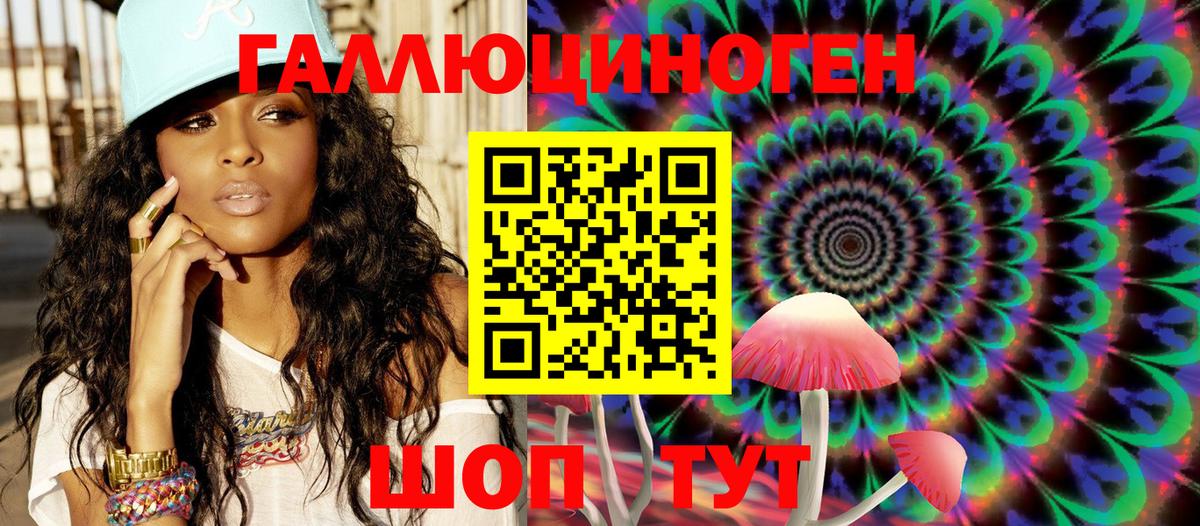 Камышин  Псилоцибиновые грибы мицелий  Псилоцибиновые грибы Psilocybine cubensis  купить наркотики цена  Вход с VPN 